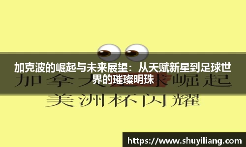 凤凰联盟首页官网
